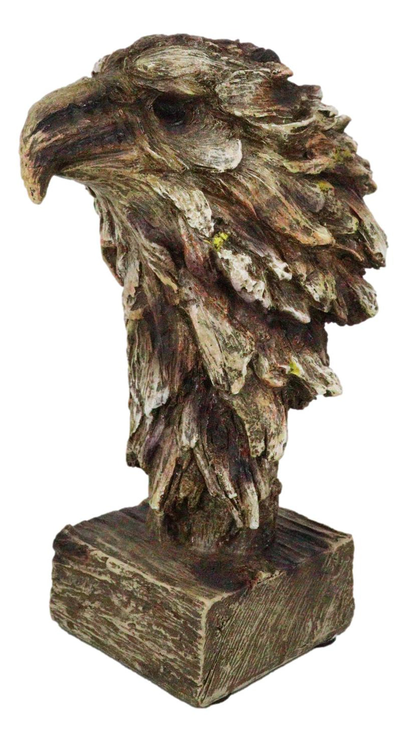 Faux Wood Carving Resin Rustic Wildlife American Bald Eagle Head Bust Figurine