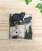 Ebros Set of 2 Pine Trees Bear Electrical Wall Cover Plate Double Toggle Switch