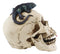 Large Dracula Fanged Skull With Iguana Statue Halloween Spooky Decor Figurine