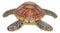 Ebros Coastal Swimming Brown Sea Turtle Wall Decor Hanging Plaque 11.25" Long