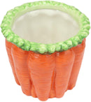 Ebros 4.5" Tall Ceramic Gourmet Hearty Carrots Bunch Dish Bowl Holder Container - Ebros Gift
