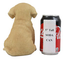 Ebros Realistic Sitting Adorable Labrador Puppy Statue 6.75" Tall Pet Pal