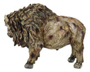 Native American Grassland Plains Wild Bison Buffalo Faux Wooden Resin Sculpture