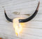Western Tooled Filigree Longhorn Steer Cow Aged Bone Skull LED Light Wall Decor