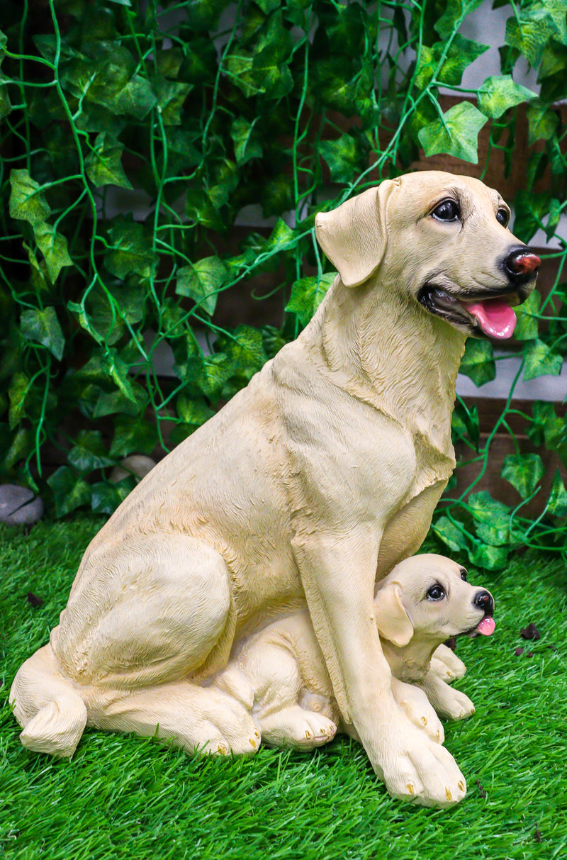 Ebros Sitting Adorable Yellow Labrador Retriever Mother with Ebros Sitting Adorable Yellow Labrador Retriever Mother with