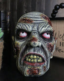 Apocalypse Zombie Undead Walker Skull With Peeling Flesh Rotten Teeth Figurine