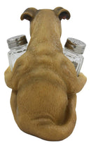 Ebros Fawn Boxer Puppy Dog Hugging Glass Salt Pepper Shakers Holder 6.25"High