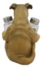Ebros Fawn Boxer Puppy Dog Hugging Glass Salt Pepper Shakers Holder 6.25"High