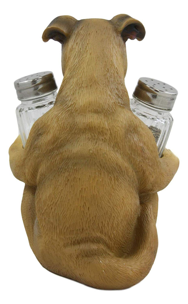 Ebros Fawn Boxer Puppy Dog Hugging Glass Salt Pepper Shakers Holder 6.25"High