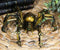 Ebros Steampunk Robotic Spider Statue Cyborg Gargantuan Arachnid Tarantula Figurine