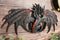 Ebros Black Widow Blood Dragon Wall Decor Sculpture by Ruth Thompson Dragonblade