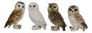 Realistic Colorful Nocturnal Snowy Barn Great Horned Owl Birds Figurine Set of 4
