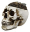 Ebros Day of The Dead Gold Coins Dollar Bills Grinning Skull Decorative Stash Box
