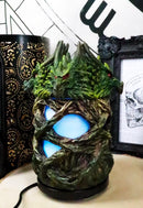 Ebros Greenman Dryad Tree Hydra 4 Headed Dragon Aroma Oil Diffuser With LED Lights