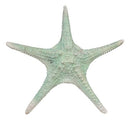 Jumbo Ocean Coral Sea Star Shell Starfish Statue 11"L Nautical Coastal Decor