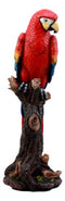 Ebros Tropical Rainforest Paradise Bird Scarlet Macaw Parrot Perching On Branch Statue