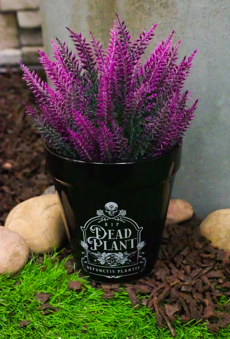 dead plant pot Dead Plant RIP Skull Grave Tombstone Wicca Witch Flower Herbs Planter – Ebros Gift