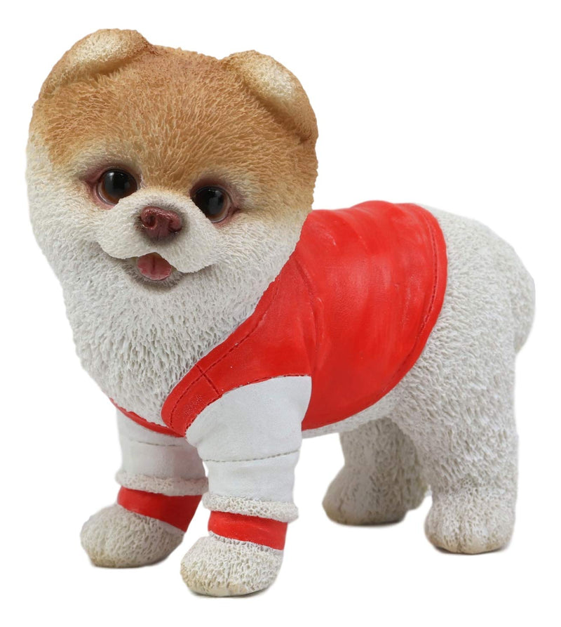 Ebros Gym Bro Boo The World's Cutest Pomeranian Dog Statue Pet Pal Dogs Collectible Breed Pomeranians Memorial Collectible Resin Decor Figurine with Glass Eyes Official Licensed Sculpture