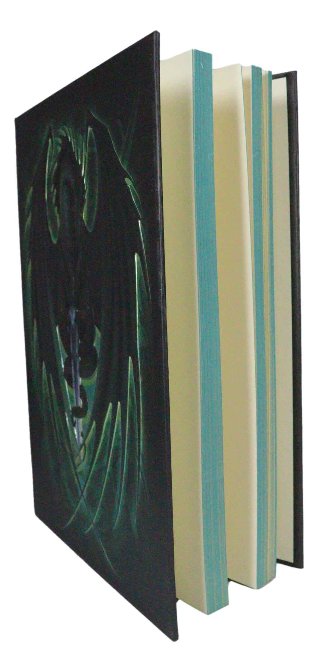 Dragon's Lair Fantasy Skull Blade Dragon Embossed Journal Diary Blank Notebook