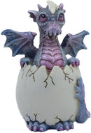 Ebros Small Purple Whimsical Dragon Baby Hatchling In Egg Statue Fantasy Prehistoric Twilight Dragon Collectible Figurine