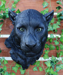 Ebros Large Black Panther Head Wall Decor Plaque 16"Tall Jaguar Wall Bust Plaque