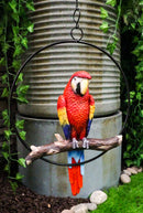 Ebros Hanging Scarlet Macaw Parrot Perching on Branch in Metal Round Ring Figurine 13.5" H