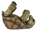 Ebros Gift Tipsy Reptile Turtle Tortoise Wine Bottle Holder Caddy Figurine