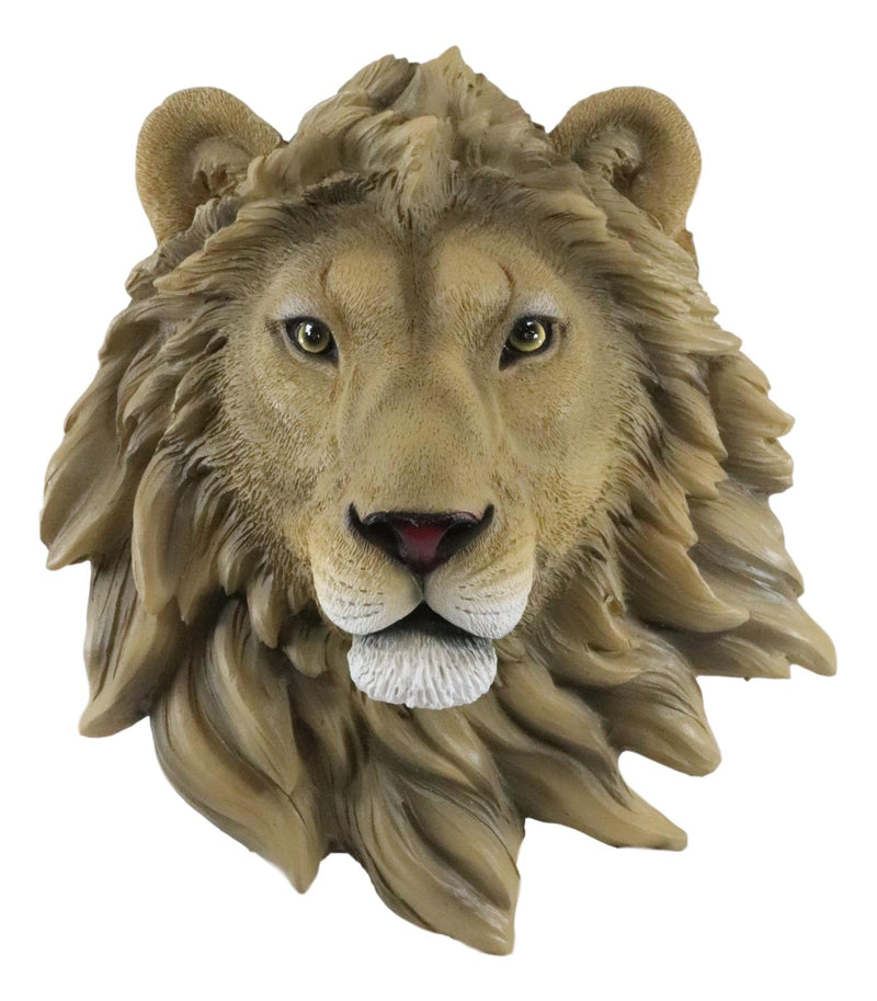 Ebros Simba Safari King Of The Jungle Lion Head Wall Plaque 9.25"Tall Taxidermy