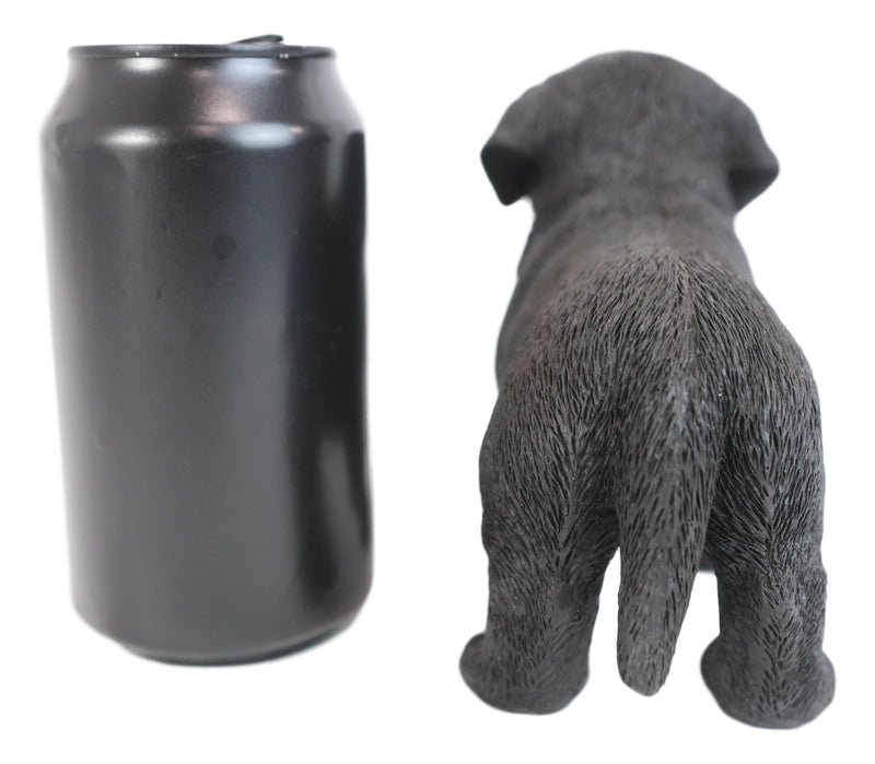 Ebros 6.25"L Realistic Chocolate Labrador Puppy Resin Figurine