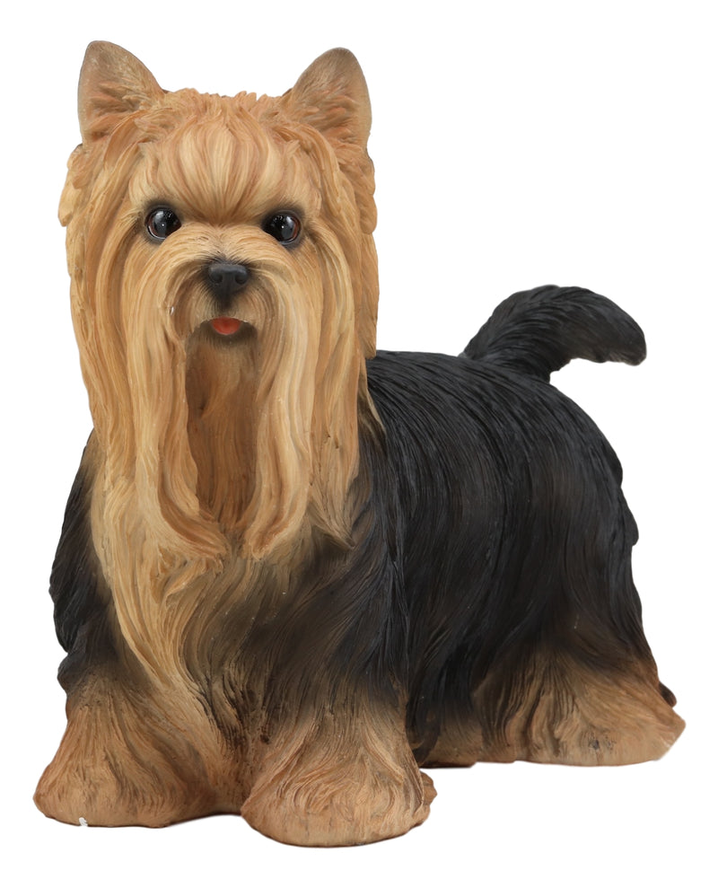 Long Haired Yorkie Statue 11.5"L Pet Pal Yorkshire Terrier Dog Figurine Decor