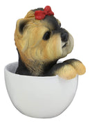 Ebros Realistic Adorable Yorkie Dog with Red Ribbon in Teacup Statue 6"H