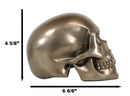 Pirate Tomb Treasure Bronze Cranium Skull Figurine Electroplated Resin Sculpture