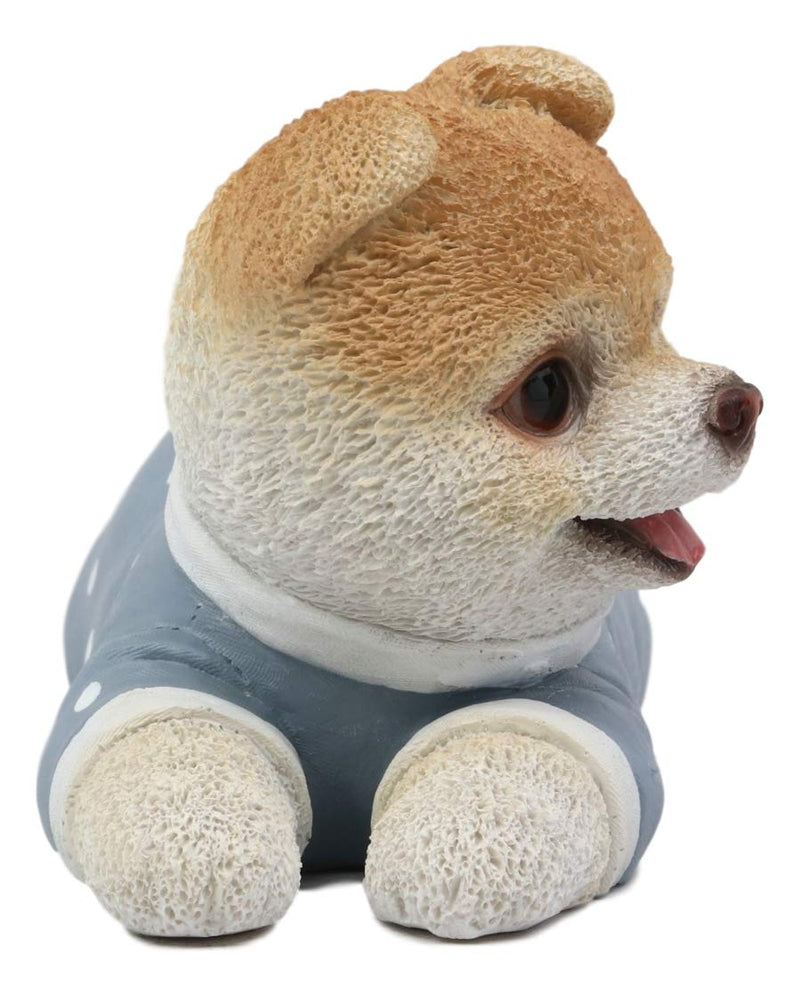 Ebros Polkadot Pajamas Boo The World's Cutest Pomeranian Dog Statue Pet Pal Dogs Collectible Breed Pomeranians Memorial Collectible Resin Decor Figurine with Glass Eyes Official Licensed Sculpture