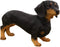 Ebros Large Lifelike Realistic Black and Tan Dachshund Dog Statue 19.5" Long
