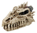 Fossil Skull Smoke Fire Breath Spiked Dragon Incense Holder Burner Figurine Box