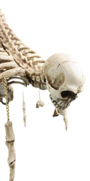 Ossuary Skulls Bones and Spines Pentagonal Ceiling Chandelier Light Lamp 20"H