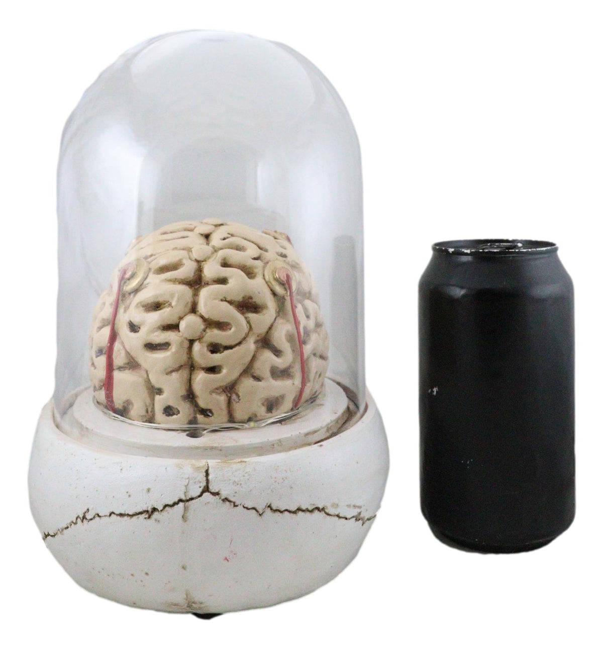 Steampunk Apothecary Gearwork Skull With Brains In LED Light Cloche Glass Dome