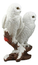 Ebros Mystical Two White Snowy Owl Couple Perching On Tree Branch Statue 12.25"Tall