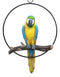 Ebros Hanging Blue And Gold Macaw Perching on Branch in Metal Round Ring 13.5"H