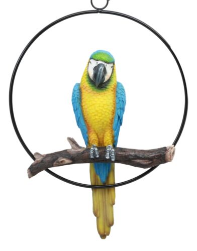 Ebros Hanging Blue And Gold Macaw Perching on Branch in Metal Round Ring 13.5"H