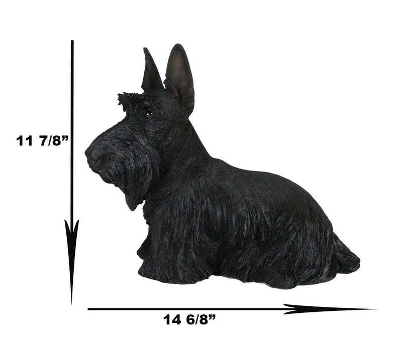 Large Lifelike Black Longhaired Scottish Highlands Terrier Statue Scottie Decor