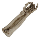 Ebros Bone Chilling Skeleton Arm and Hand Incense Stick Holder Display Stand Figurine
