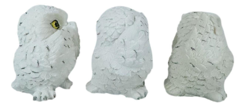 Ebros See Hear Speak No Evil Fat Baby White Owls Figurines Set of 3 Mini Decor