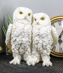 Ebros Mystical Two Snow White Owls Couple Statue 7.25"Tall Whimsical Figurine
