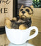 Ebros Realistic Mini Yorkie Teacup Statue 3" Pet Pal Yorkshire Terrier Dog Figurine