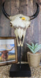Western Rustic Bull Cow Steer Skull With Bald Eagle Sculpture On Pole Display