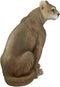 Large Realistic Lifelike Mountain Lion Cougar Sitting in Repose Statue 20" Tall