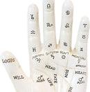 Ebros Psychic Palmistry Hand Fortune Teller Divination Diagram Resin Figurine