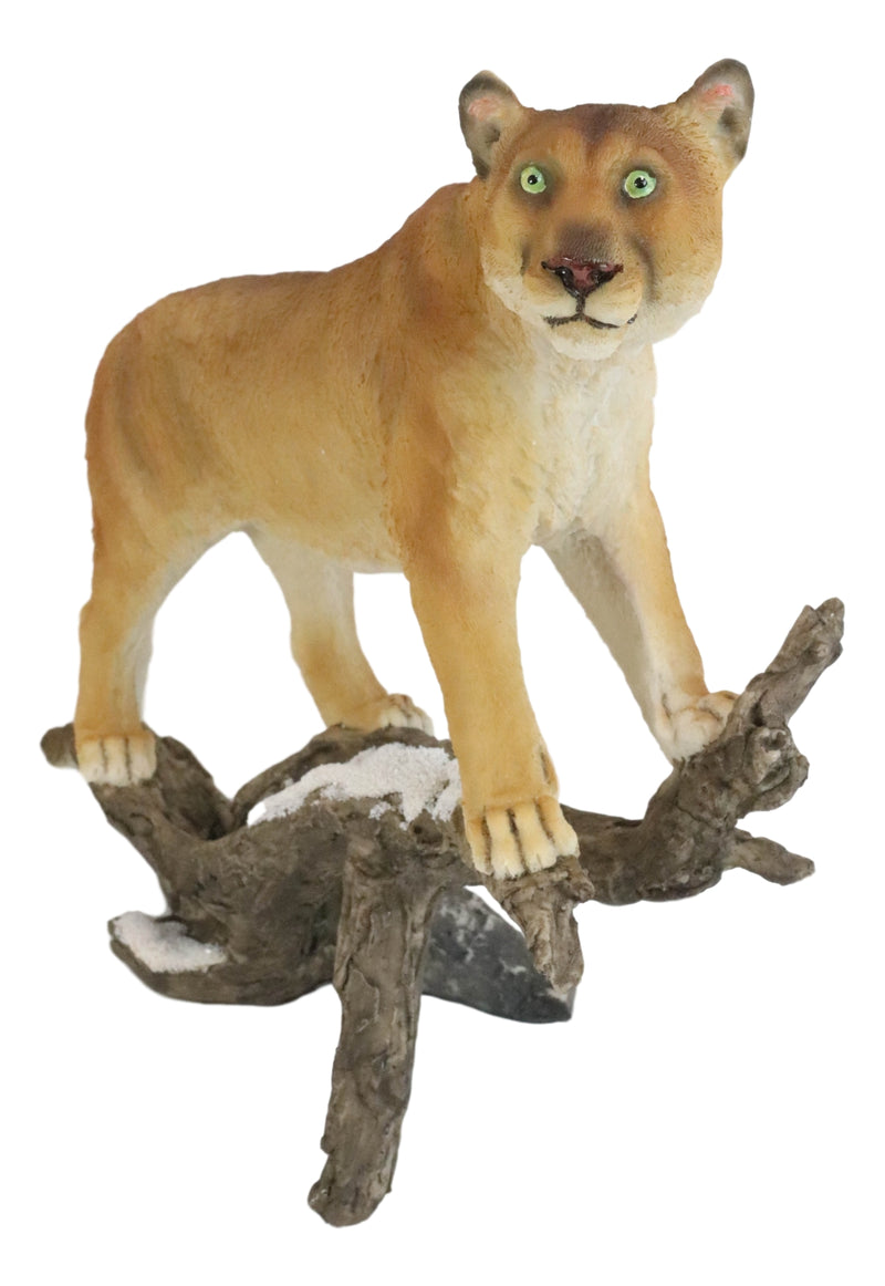 Mountain Lion Cougar Standing On Snow Capped Weathered Log Statue Wildlife Decor