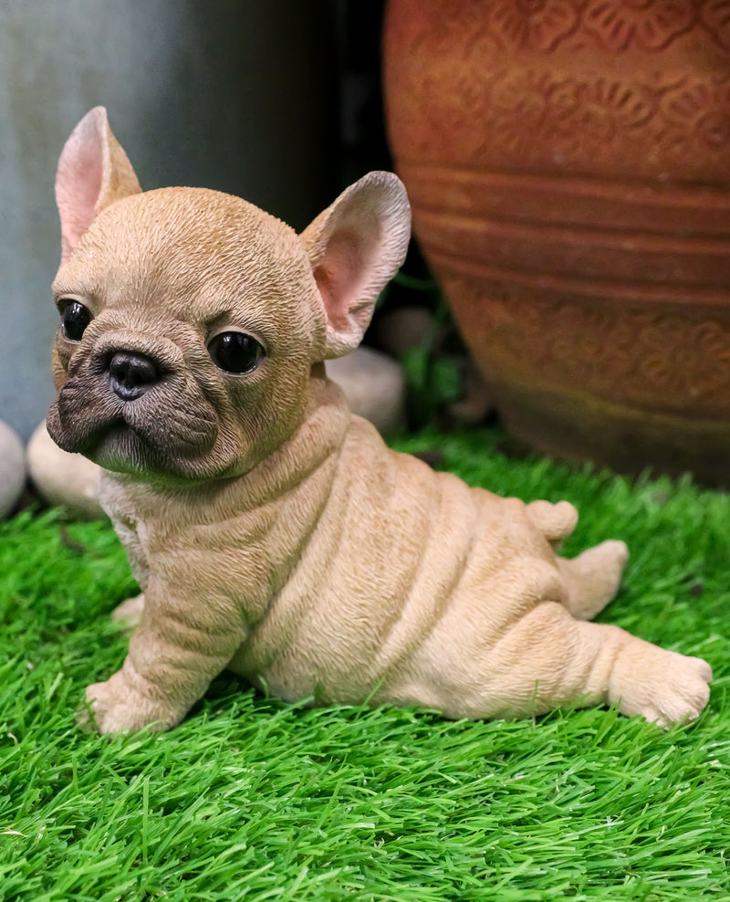 Ebros Adorable French Bulldog Puppy Dog With Belly On The Ground Figurine 6.5"L